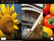 Tablet Screenshot of 8feetacross.com